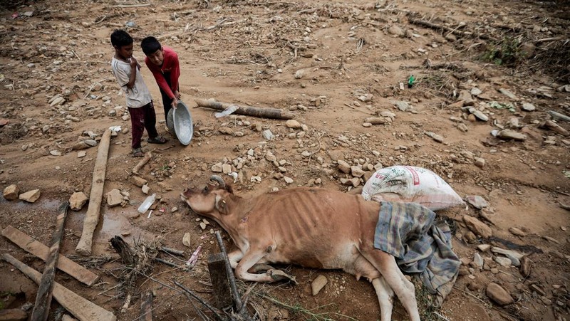 Suasana pasca banjir dan longsor yang melanda desa Bhumidanda, kotamadya Panauti, di Kavre, Nepal, Selasa (1/10/2024). (REUTERS/Navesh Chitrakar)