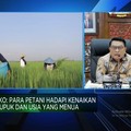 Video: Agar Anak Muda Mau Jadi Petani, RI Wajib Perbaiki Masalah Ini