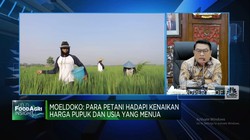Video: Agar Anak Muda Mau Jadi Petani, RI Wajib Perbaiki Masalah Ini