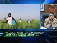 Video: Agar Anak Muda Mau Jadi Petani, RI Wajib Perbaiki Masalah Ini