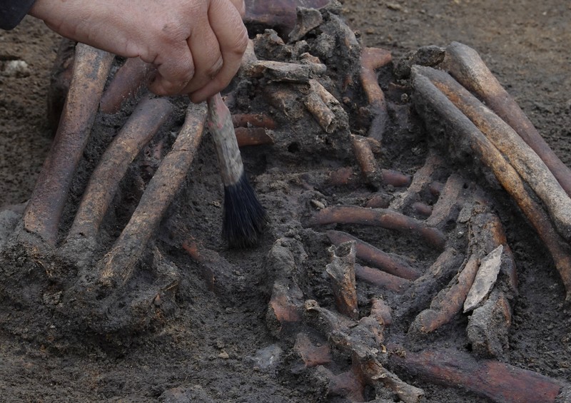 Para arkeolog menggali kerangka di sebuah lubang di situs pemakaman zaman Viking di desa Aasum, Denmark, 25 September 2024. (REUTERS/Tom Little)