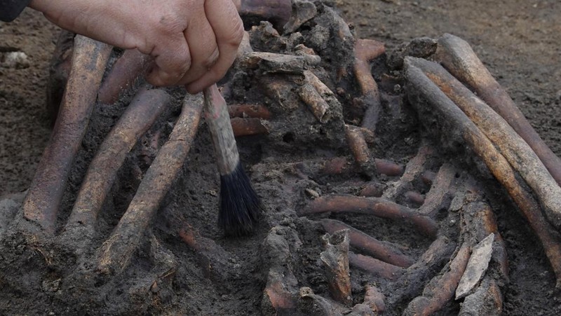 Para arkeolog menggali kerangka di sebuah lubang di situs pemakaman zaman Viking di desa Aasum, Denmark, 25 September 2024. (REUTERS/Tom Little)