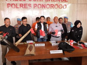 Pria di Ponorogo Diamankan Setelah Potong 3 Pohon Pinus Perhutani