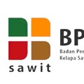 BPDPKS Mau Berubah Nama, Bukan Cuma Urus Sawit Tapi Kakao dan Kelapa