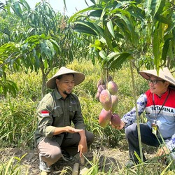 Pertamina EP Lakukan 3 Program Ini untuk Berdayakan Masyarakat Subang