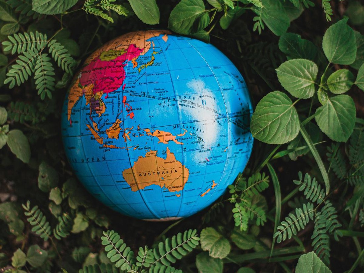 Pergerakan Australia ke Asia: Dampak Besar untuk Geologi, Ekosistem, dan Teknologi