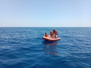 Turis Negeri Paman Sam Hilang saat Diving di Laut Maluku