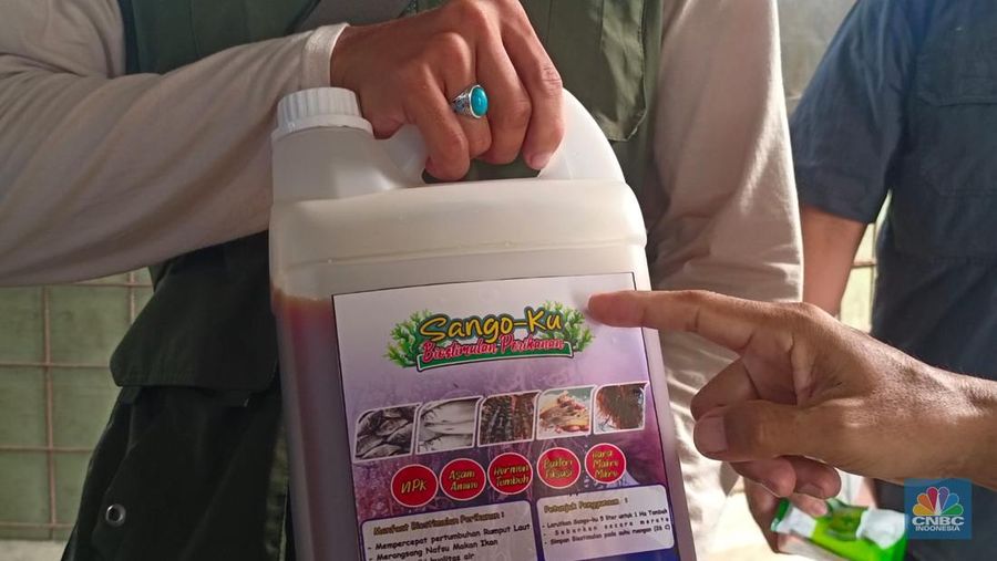 Biostimulant dari hasil olahan rumput laut gracilaria. (CNBC Indonesia/Martyasari Rizky)