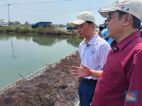 KKP Dorong 1.195 Unit Pengolahan Ikan Jadi Mitra Program Makan Bergizi