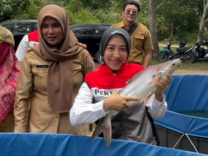 Melihat Kawasan Perikanan Terintegrasi di Sungai Gerong Sumsel