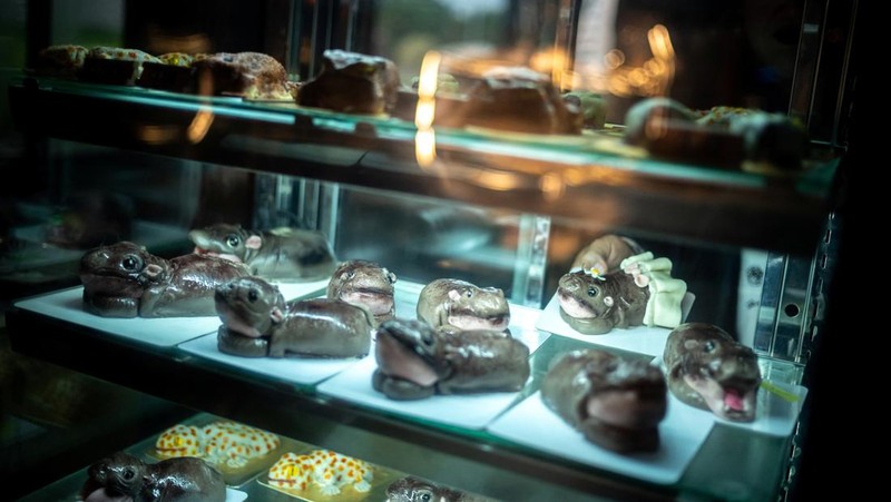 Kue Moo Deng (kue berbentuk kuda nil kerdil yang baru-baru ini menjadi sensasi internet viral) dipajang di Vetmon Cafe (Magic Cafe) di Bangkok, Thailand, 25 September 2024. (REUTERS/Athit Perawongmetha)