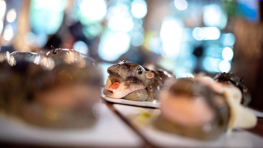 Kue Moo Deng (kue berbentuk kuda nil kerdil yang baru-baru ini menjadi sensasi internet viral) dipajang di Vetmon Cafe (Magic Cafe) di Bangkok, Thailand, 25 September 2024. (REUTERS/Athit Perawongmetha)