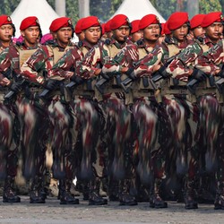 Revisi UU TNI: Daftar 16 Tugas TNI dalam Operasi Militer Selain Perang