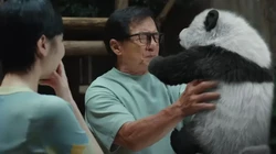 7 Fakta Menarik Panda Plan, Aksi Jackie Chan Jadi Ayah Binatang