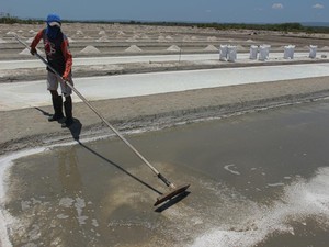 KKP Bidik NTT Jadi Model Percontohan Produksi Garam