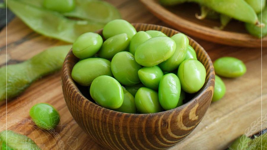 Ilustrasi Edamame. (Dok. Kemlu)