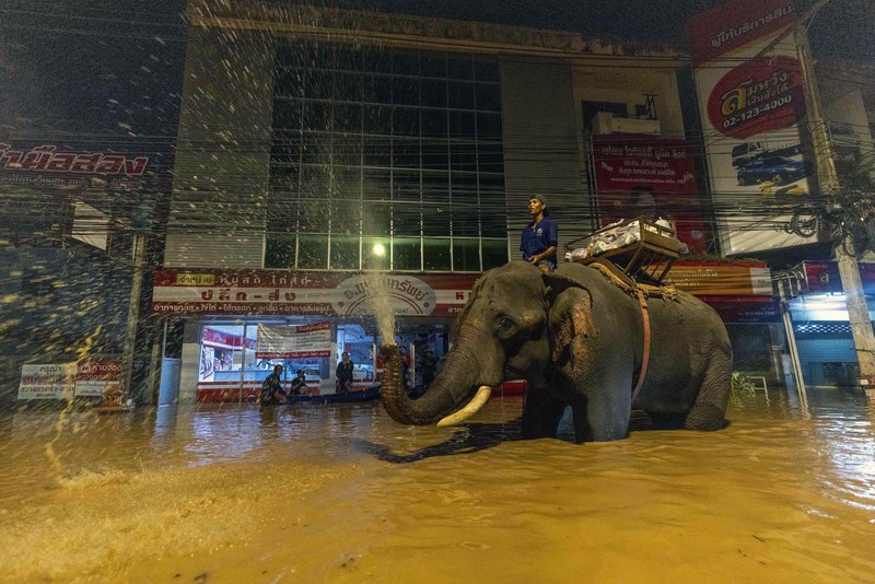 Lebih dari 20 provinsi di Thailand masih terendam banjir imbas musim hujan yang melanda Thailand. (AP Photo/Wason Wanichakorn)