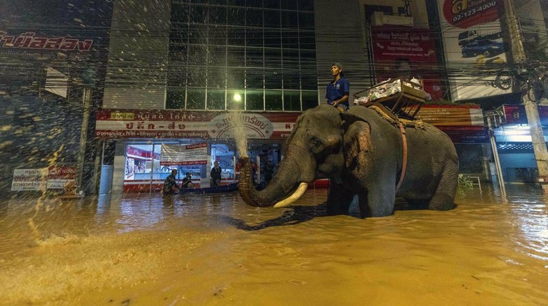 Lebih dari 20 provinsi di Thailand masih terendam banjir imbas musim hujan yang melanda Thailand. (AP Photo/Wason Wanichakorn)