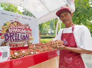 BRI Dukung Pemberdayaan Buah Kelengkeng di Tuban