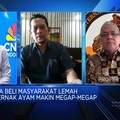 Video: Peternak Ayam Megap-megap, Pasokan Melimpah & Permintaan Anjlok