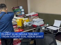 Video: Pejabat KLHK Diduga Terlibat Tindak Korupsi Soal Kebun Sawit