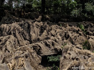 Terpopuler Sepekan: 5 Wisata Alam Alternatif Puncak