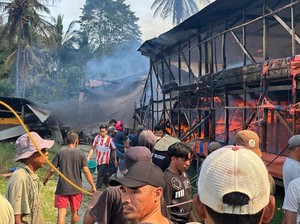 8.000 Ayam Mati gegara Kandang Terbakar di Kolaka, Pemilik Rugi Rp 1 Miliar