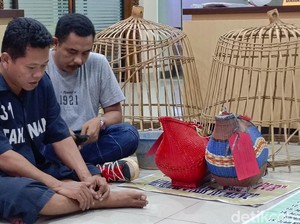 Sabung Ayam di Semarang Digerebek, 1 Oknum Polisi Ditangkap
