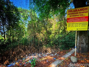 Ironi Biawak Mengais Sampah di Cagar Alam Palabuhanratu
