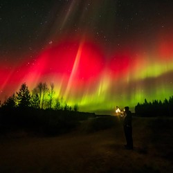 Potret Aurora 'Menari' di Langit Finlandia