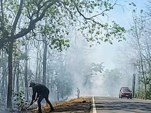 Hutan TN Baluran Terbakar, Asap Ganggu Pengguna Jalan Jalur Pantura