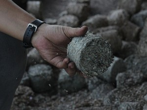 Kurangi 921 Ribu Ton Emisi, Cofiring PLTU Hasilkan 814 GWh Energi Hijau