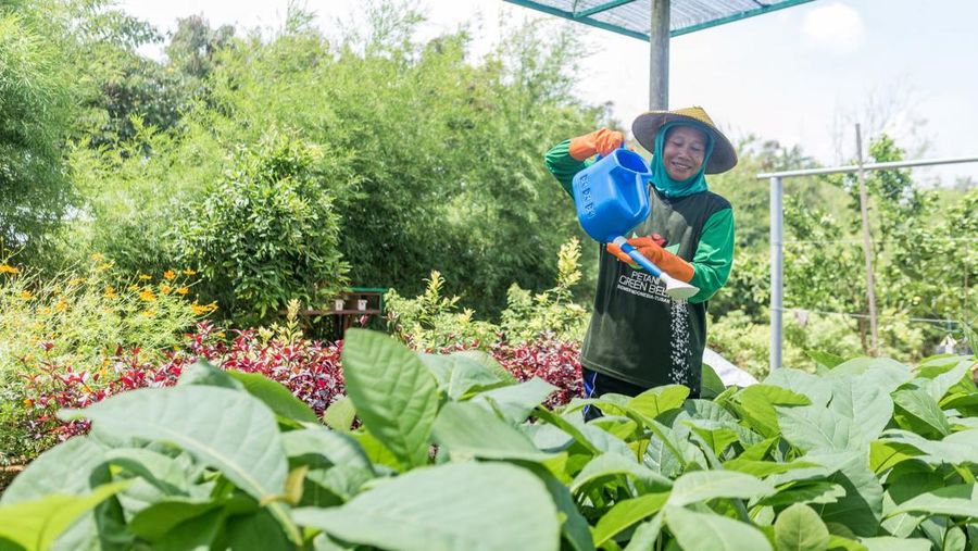 Petani green belt memelihara bibit tanaman di kawasan green house Ecopark Kambangsemi, bibit tanaman digunakan untuk revegetasi lahan pascatambang SIG Pabrik Tuban (Dok SIG)