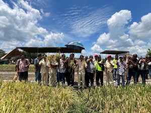 Syah Afandin Bakal Jadikan Langkat Lumbung Pangan Nasional