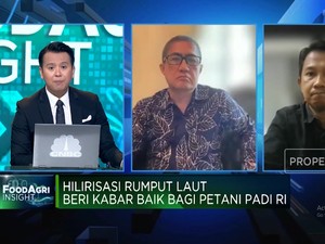 Video: Gak Cuma Buat Agar-agar, Rumput Laut Bisa Bantu Petani Padi