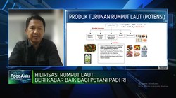 Video: Hilirisasi Rumput Laut, Untungkan Petani-Bantu Ketahanan Pangan