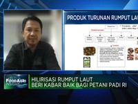 Video: Hilirisasi Rumput Laut, Untungkan Petani-Bantu Ketahanan Pangan