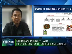 Video: Hilirisasi Rumput Laut, Untungkan Petani-Bantu Ketahanan Pangan