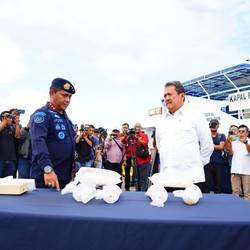 Ternyata Begini Cara Benih Lobster Diselundupkan ke Luar Negeri