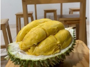 Harga Durian Musang King Anjlok! Kini Cuma Rp 40 Ribu Sekilo