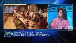 Video: Ekonom Beberkan Kriteria Menko di Pemerintahan Prabowo
