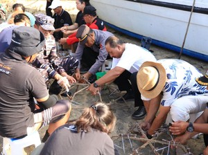 Bersih Pantai dan Tanam Koral Ramaikan Hari Kedua Nusa Penida Festival 2024