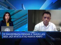 Video: Pupuk, Pengairan & Modal Persulit Petani Genjot Produksi Beras