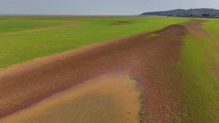 Foto udara menjukkan dasar sungai Tapajos saat kekeringan melanda sungai Amazon di negara bagian Para, Brasil, Kamis (1010/2024). (REUTERS/Amanda Perobelli)