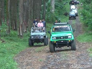 Video: Seru Banget! Wisata Offroad di Lumajang yang Memacu Adrenalin