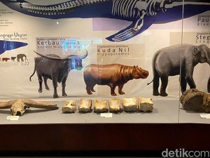 Eksistensi Museum Sri Baduga Jadi Alternatif Wisata Edukasi di Bandung