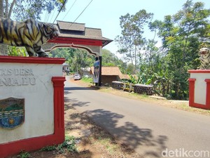 Kisah Legenda Maung Panjalu, Jelmaan dari Dua Anak Kembar