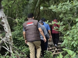Jaksa Usut Dugaan Korupsi Tambak Udang di Bengkalis