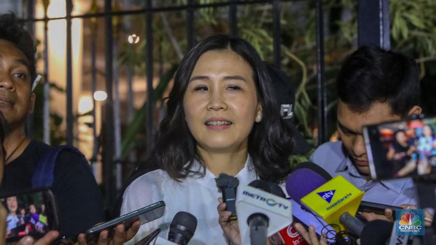 Mantan istri dari Gubernur DKI Jakarta Basuki Tjahaja Purnama, Veronica Tan. (CNBC Indonesia/Faisal Rahman