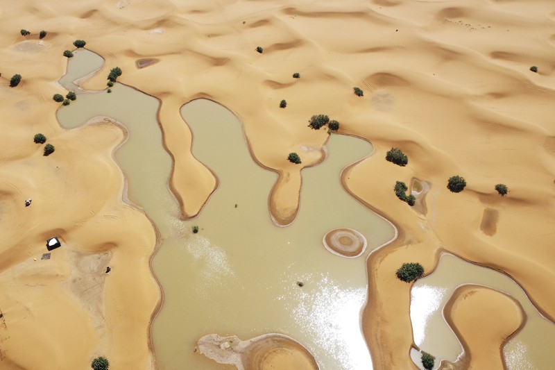 Sebuah Oasis tercermin di sebuah danau yang disebabkan oleh hujan lebat di kota gurun Merzouga, dekat Rachidia, tenggara Maroko, Rabu, 2 Oktober 2024. (AP Photo)